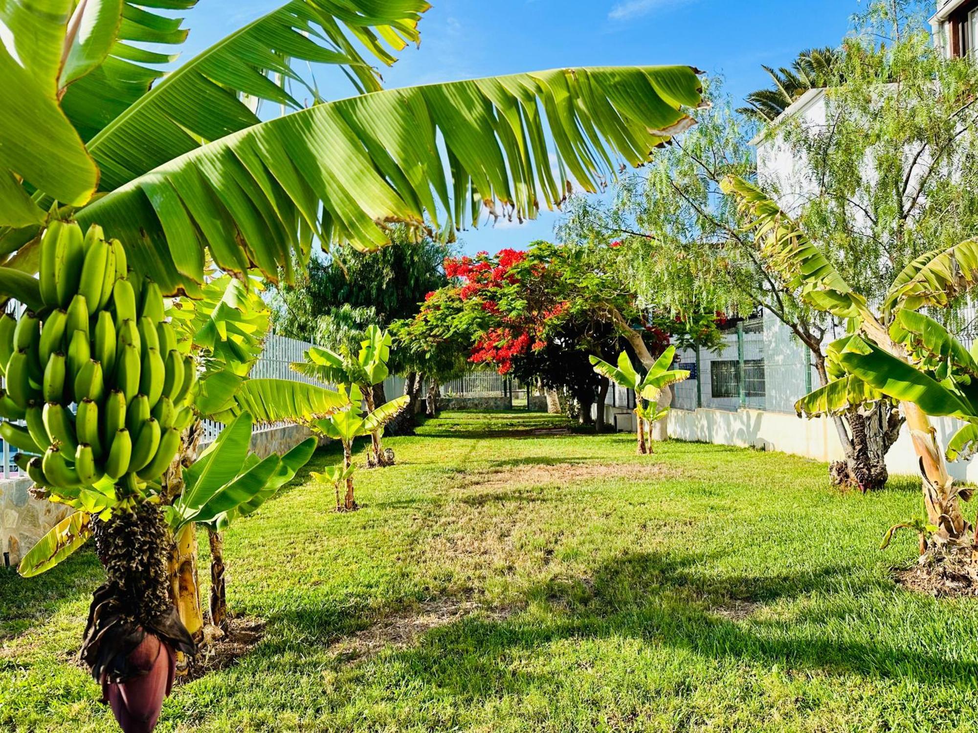 Quiet Apartment Chayofita Arona  Exterior foto